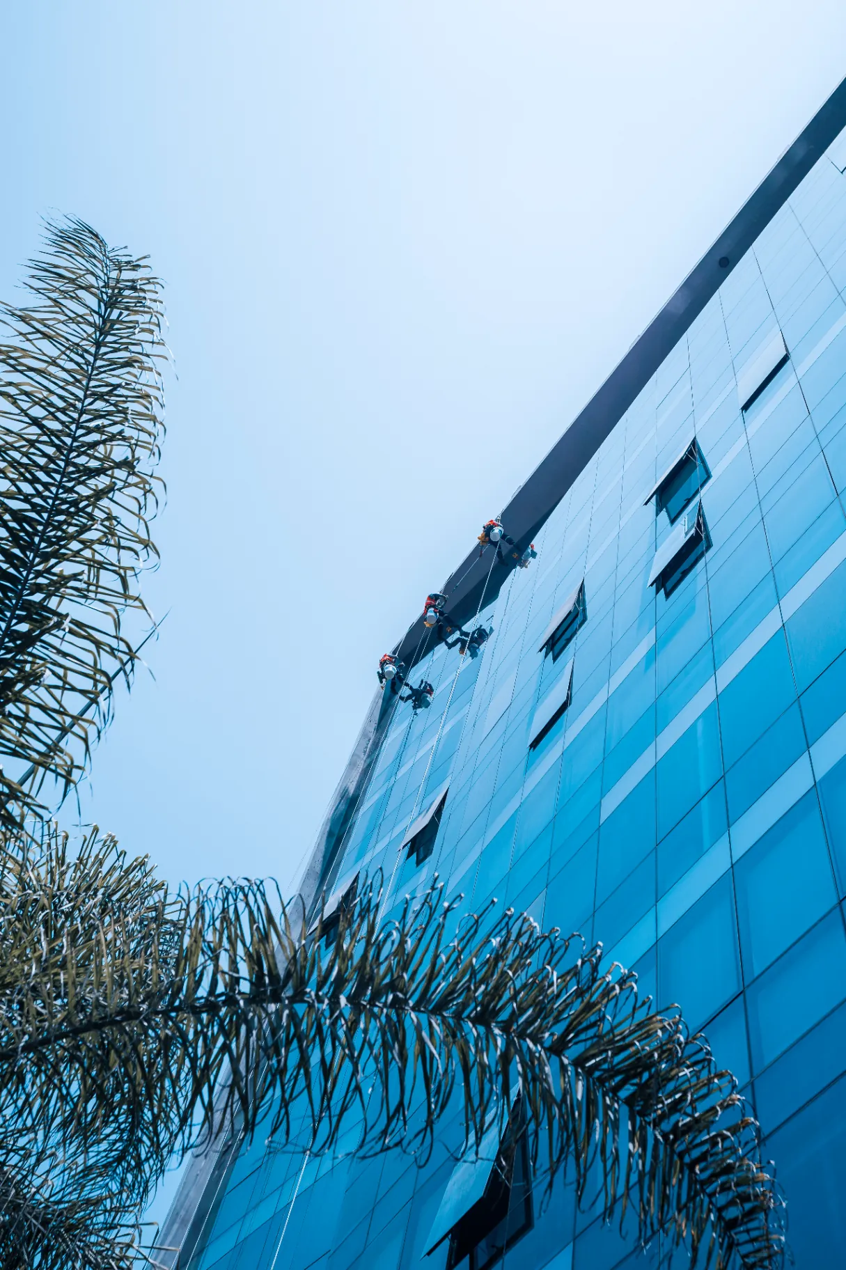 Proyecto Blu — Cliente por definir